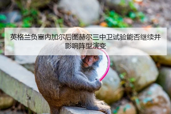 英格兰负塞内加尔后图赫尔三中卫试验能否继续并影响阵型演变